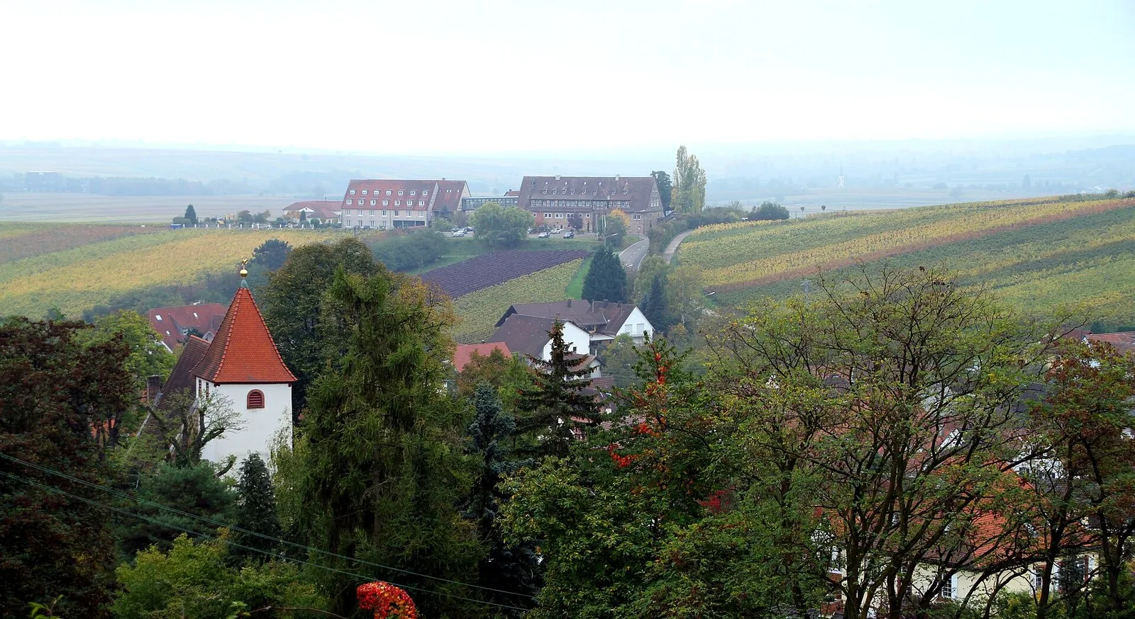 Blick über Leinsweiler in der Südpfalz mit Kirche, Weinbergen und Leinsweiler Hof